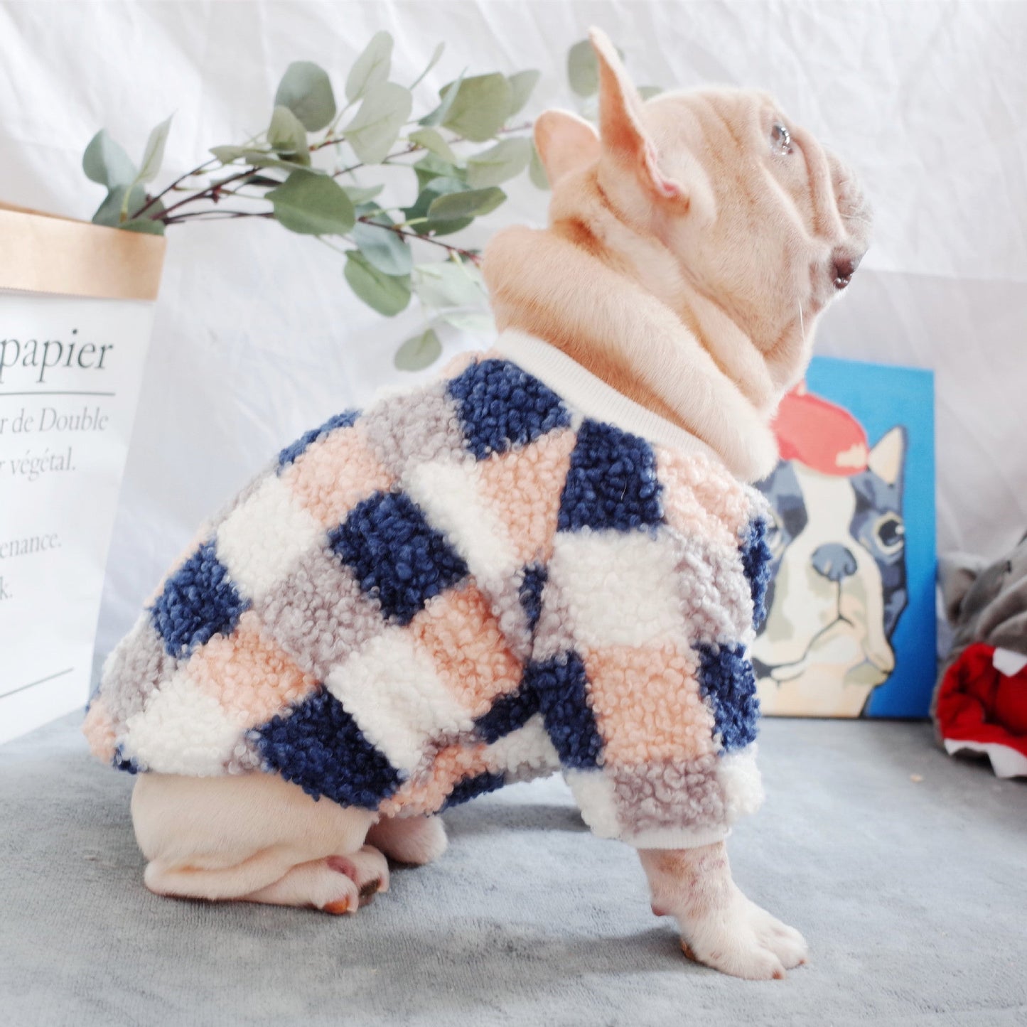 Comfy Pet Clothing