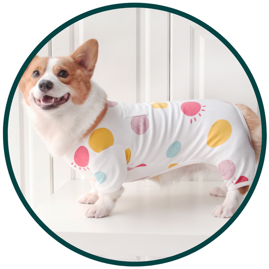 Cosy Pet Pyjamas