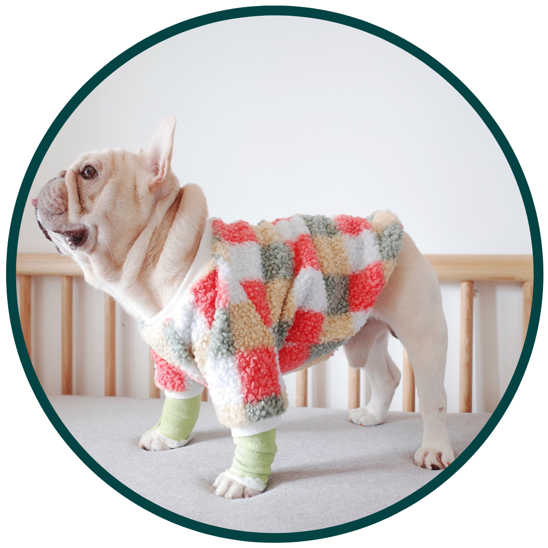 Comfy Pet Clothing