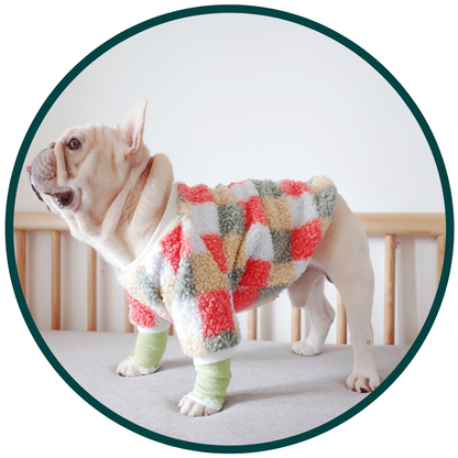 Comfy Pet Clothing