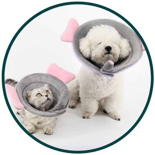 Animal Themed Protection Collar