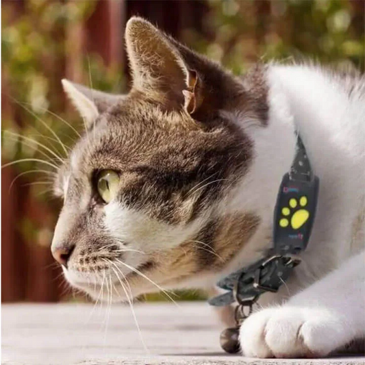 Smart Cat GPS Tracker Collar